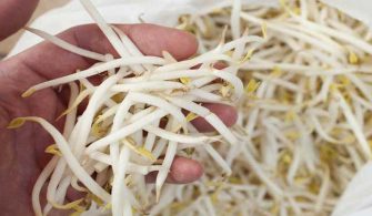 Soya Filizi Sağlığa Faydası Nedir