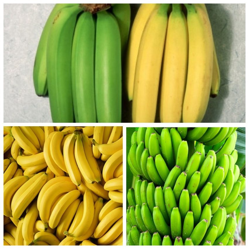 yesil-sari-muz-faydalari-zararlari